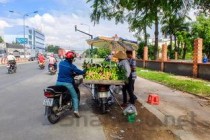 新手卖水果怎么起步摆地摊大概得多少成本，新手卖水果怎么起步