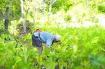 全国豆粕价格现货总汇行情今日报价，全国豆粕最新价格行情