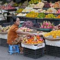 哪里可以买到好的鸡苗，什么平台买的鸡苗最好