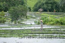 农业种植养殖政府扶持项目，种养殖业扶持项目