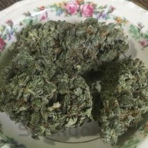 种什么药材利润大又不愁销路，国家扶持的种植药材有哪些