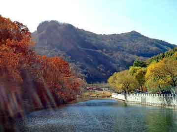 今日全国淘汰鸡价格是多少，全国各地淘汰鸡价格